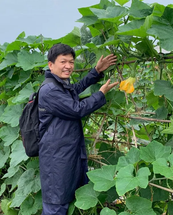 3元1斤的健美蜜本南瓜快成熟了，缅甸种植户发来图片与视频