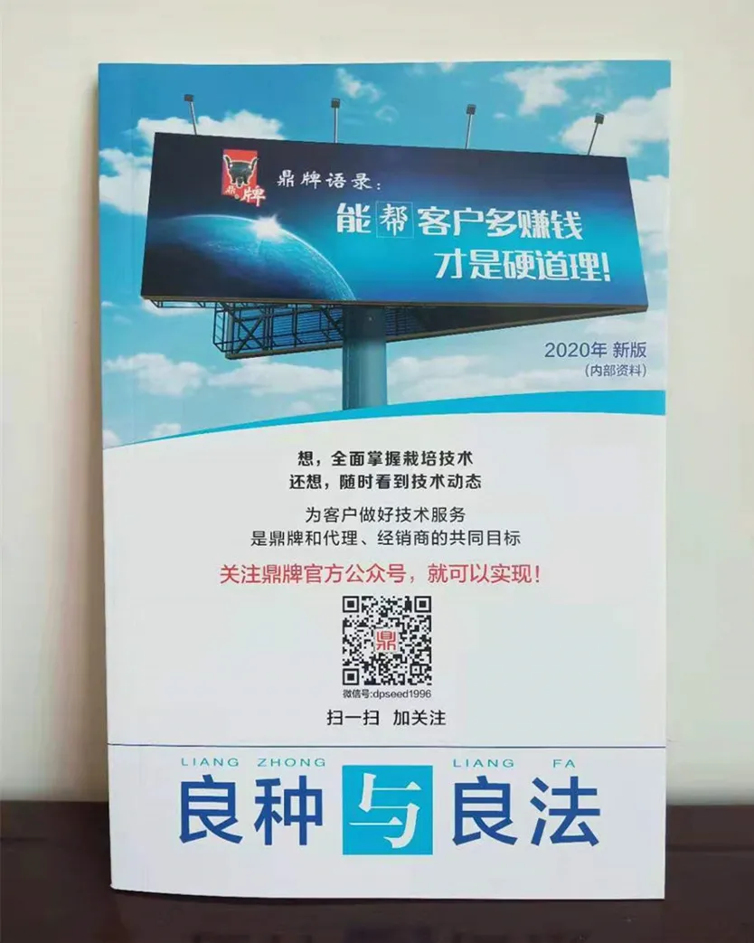 河南焦作的李向林今年种植甜瓜新品种,客户直接拉货走人