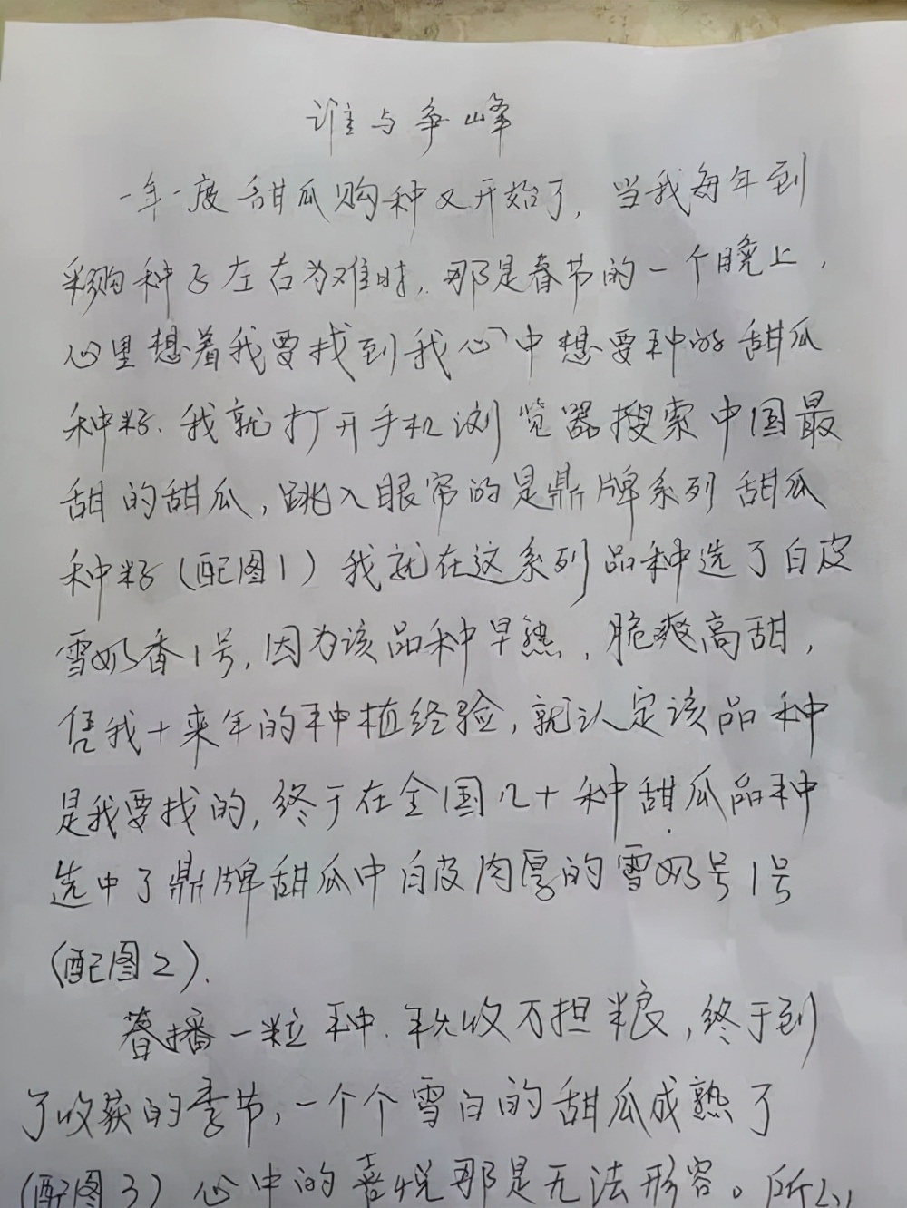 河南焦作的李向林今年种植甜瓜新品种,客户直接拉货走人