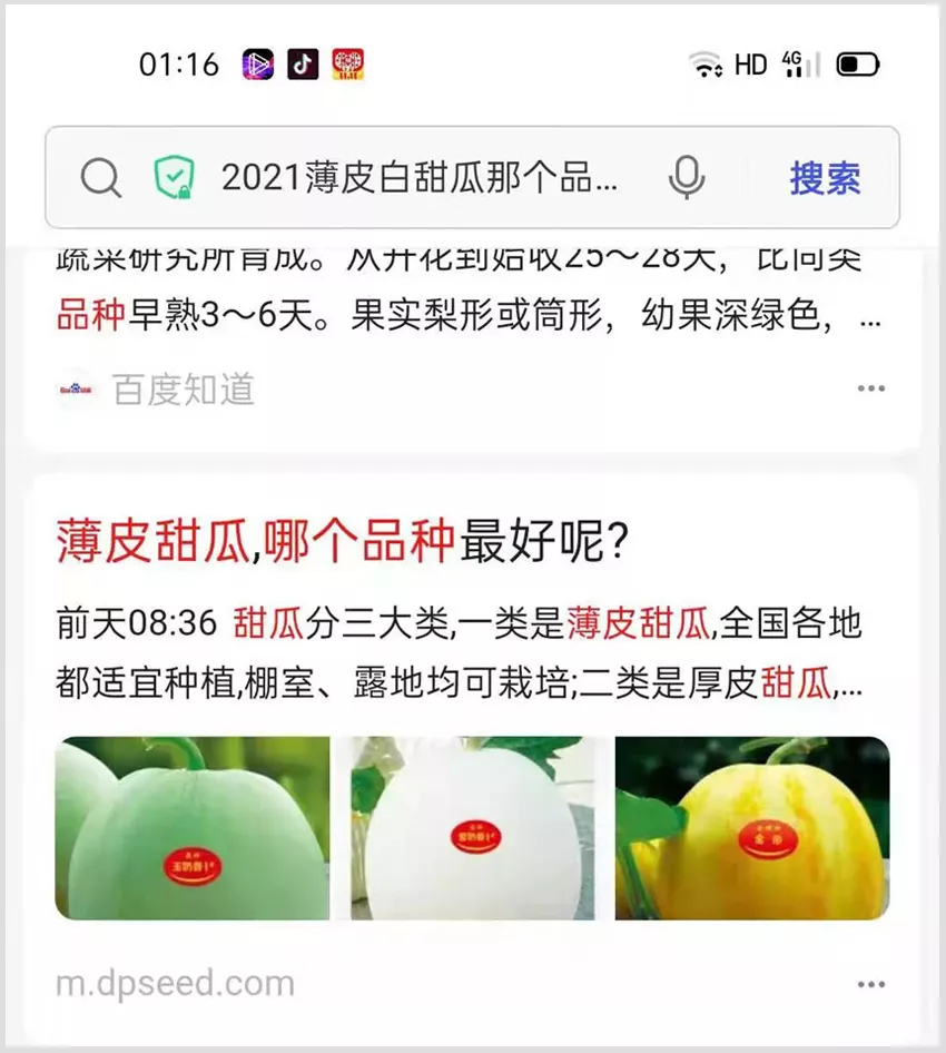 河南焦作的李向林今年种植甜瓜新品种,客户直接拉货走人