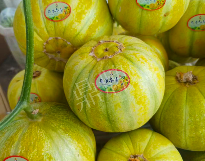 这个甜瓜熟透了都不裂瓜，在新疆卖14元每公斤！