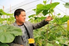 只上过小学的他，干农业干成了当地的“牛人”……